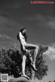 A naked woman sitting on top of a tree.